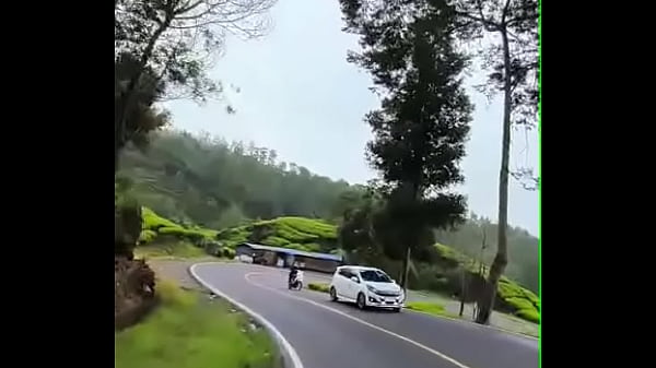 Keindahan kebun teh